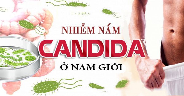 Nhiễm nấm Candida ở nam giới và cách hỗ trợ điều trị
